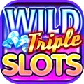 Play More Than 250 Top Slots Titles!