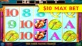 Lotus Flower Slot - $10 Max Bet - Big Win Bonus!