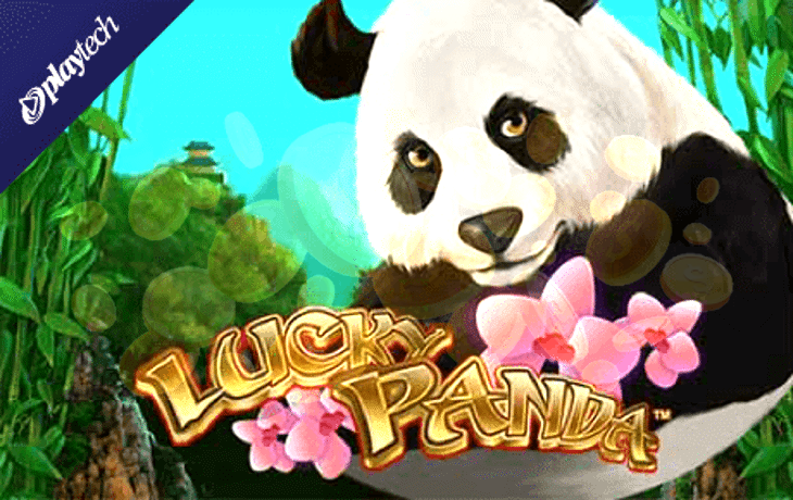 Lucky Panda Slot Machine