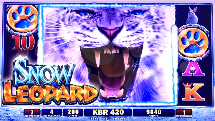 Snow Leopard Free Slots