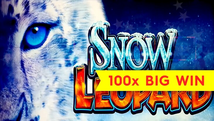 Snow Leopard Free Slots