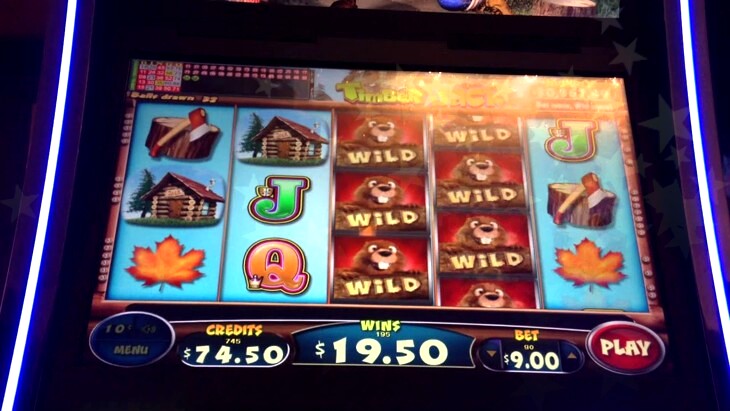 Timber Jack Slot Machine