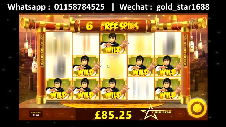 Wild Fight Slot